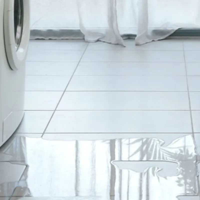 Appliance Leak Cleanup in Palo, IA