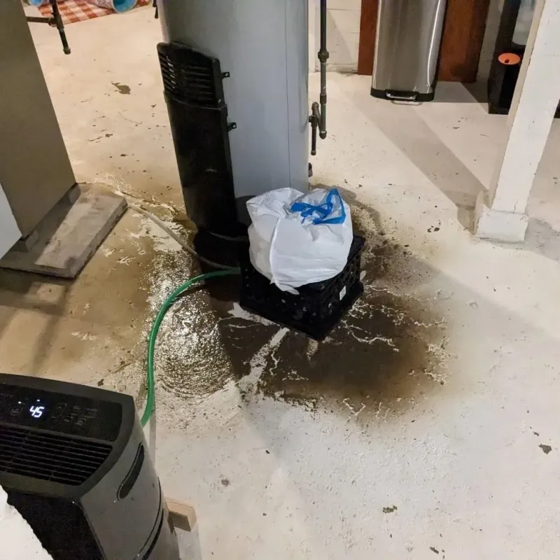 Sewage Backup Cleanup Service in Palo, IA